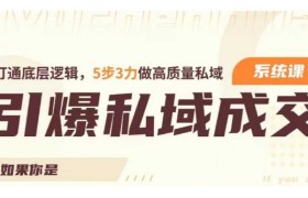 引爆私域成交力系统课，打通底层逻辑，5步3力做高质量私域