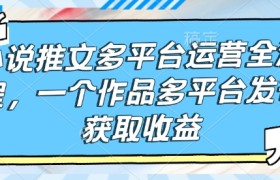 小说推文多平台运营全流程，一个作品多平台发布获取收益