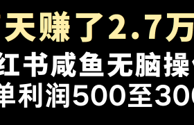 全网首发，7天赚了2.6万，2025利润超级高！