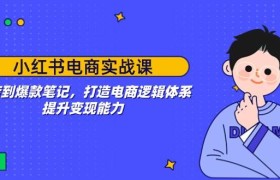 小红书电商实战课：开店到爆款笔记，打造电商逻辑体系，提升变现能力