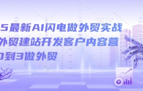2025最新AI闪电做外贸实战课，外贸建站开发客户内容营销从0到3做外贸