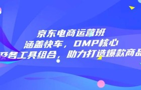 京东电商运营班：涵盖快车，DMP核心及各工具组合，助力打造爆款商品
