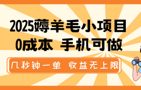 2025薅羊毛小项目，0成本 手机可做，几秒钟一单，收益无上限