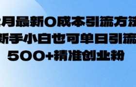 2月最新0成本引流方法，新手小白也可单日引流500+精准创业粉