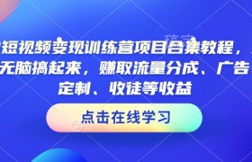 AI短视频变现训练营项目合集教程，直接无脑搞起来，赚取流量分成、广告、定制、收徒等收益