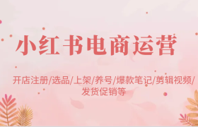 小红书电商运营：开店注册/选品/上架/养号/爆款笔记/剪辑视频/发货促销等