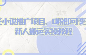 蛋花小说推文项目，0粉即可变现，新人搬运实操教程
