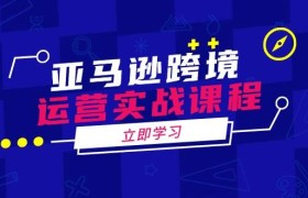 亚马逊跨境运营实战课程：涵盖亚马逊运营、申诉、选品等多个方面
