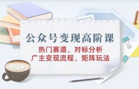 公众号变现高阶课：热门赛道、对标分析、广告主变现流程、矩阵玩法
