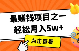 全网首发！7天赚了2.4w，2025利润超级高！风口项目！