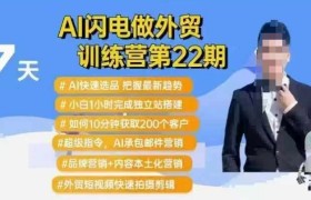 AI闪电做外贸训练营第22期：Al快速选品+小白1小时完成独立站搭建+10分钟获取200个客户等