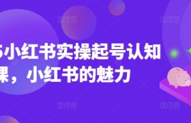 2025小红书实操起号认知课，小红书的魅力