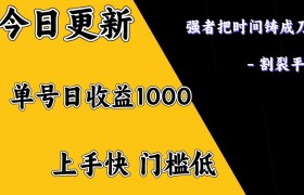 上手一天1000打底，正规项目，懒人勿扰