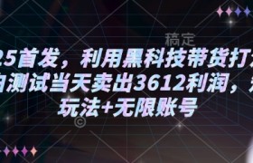 2025首发，利用黑科技带货打法，小白测试当天卖出3612利润，矩阵玩法+无限账号【揭秘】