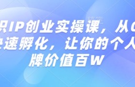 知识IP创业实操课，从0到1快速孵化，让你的个人品牌价值百W