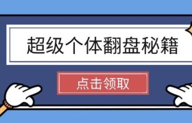 超级个体翻盘秘籍：掌握社会原理，开启无限游戏之旅，学会创造财富