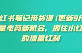 小红书笔记带货课(更新25年2月)流量电商新机会，抓住小红书的流量红利