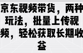 京东视频带货，两种玩法，批量上传视频，轻松获取长期收益