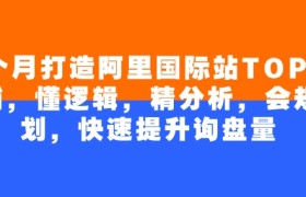 4个月打造阿里国际站TOP店铺，懂逻辑，精分析，会规划，快速提升询盘量