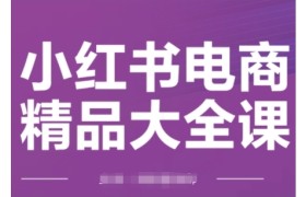 小红书电商精品大全课，快速掌握小红书运营技巧，实现精准引流与爆单目标，轻松玩转小红书电商(更新2月)