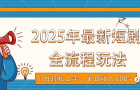 2025年最新短剧玩法，全流程实操，小白轻松上手，视频号抖音同步分发，单日收入500+