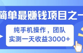 全网首发！7天赚了2.6w，小白必学，赚钱项目！