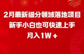 2月最新细分领域落地项目，新手小白也可快速上手，月入1W