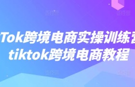 TikTok跨境电商实操训练营，tiktok跨境电商教程
