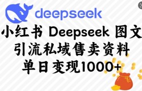 小红书Deepseek图文引流私域售卖资料，单日变现多张