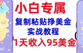 复制粘贴挣美金，0门槛，1天收入95美刀，3分钟学会，内部教程(首次公开)