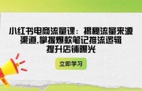 小红书电商流量课：揭秘流量来源渠道,掌握爆款笔记推流逻辑,提升店铺曝光