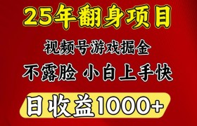 一天收益1000+ 25年开年落地好项目