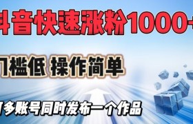 抖音快速涨1000+粉，门槛低操作简单，可多账号同时发布一个作品