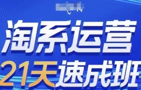 淘系运营21天速成班(更新25年2月)，0基础轻松搞定淘系运营，不做假把式