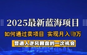 2025蓝海项目，普通人如何通过卖项目，实现月入过W，全过程【揭秘】