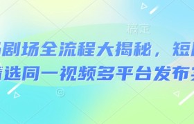 河马剧场全流程大揭秘，短剧爆款精选同一视频多平台发布实操