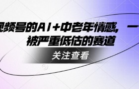 视频号的AI+中老年情感，一个被严重低估的赛道
