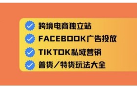 跨境电商独立站及全域流量营销，从0基础快速入门并精通跨境电商运营