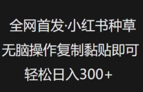 全网首发，小红书种草无脑操作，复制黏贴即可，轻松日入3张