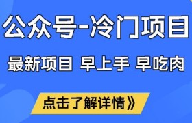 公众号冷门赛道，早上手早吃肉，单月轻松稳定变现1W【揭秘】