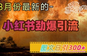 小红书超劲爆引流手段，图文日引300+轻松变现1W
