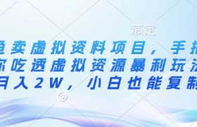 闲鱼卖虚拟资料项目，手把手带你吃透虚拟资源暴利玩法，月入2W，小白也能复制