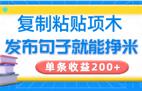 复制粘贴小项目，发布句子就能赚米，单条收益200+