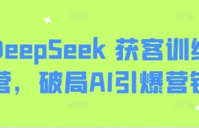 DeepSeek 获客训练营，破局AI引爆营销