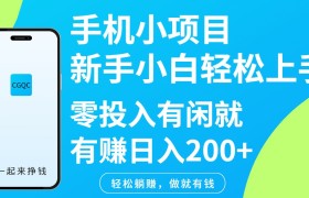 手机小项目新手小白轻松上手零投入有闲就有赚日入200+