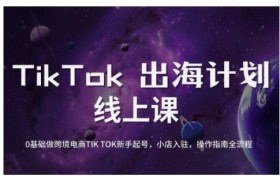 TikTok跨境电商新手起号与运营全攻略，0基础做跨境电商TIKTOK新手起号，小店入驻，操作指南全流程