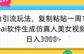 暴力引流玩法，复制粘贴一周1w粉，ai软件生成仿真人美女视频，日入多张