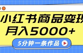 小红书字幕作品玩法，商单变现月入5000+，5分钟一条作品