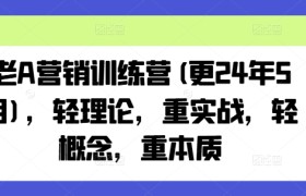 老A营销训练营(更25年3月)，轻理论，重实战，轻概念，重本质