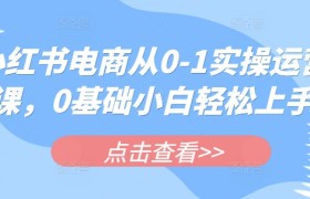 小红书电商从0-1实操运营课，0基础小白轻松上手